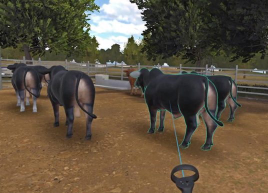 Adelaide University Cattle-Handling VR Teaching Tool Debuts in the US