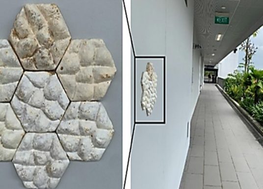 NTU Singapore scientists create ‘fungi tiles’ with elephant skin texture to cool buildings
