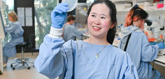 Tiny worms reveal big secrets about memory