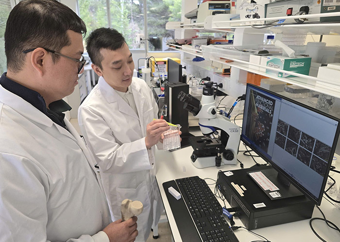 New implant system helps bone regeneration and healing