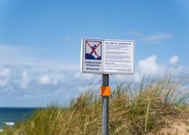 Making waves: Innovative tool transforming beach safety education for migrants