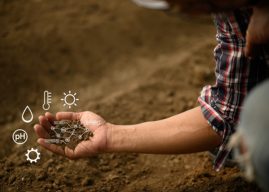 New tool turns complex soil data into visual insights