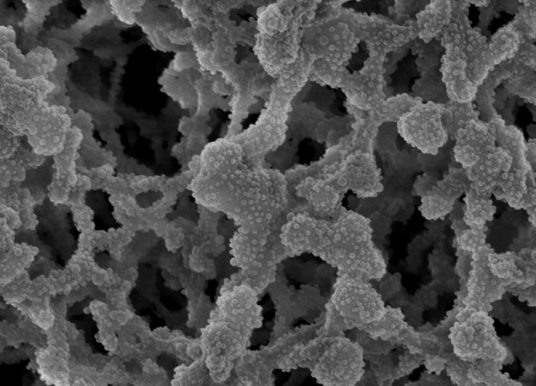 Plasma polymer filter finds invisible nanoplastics in water