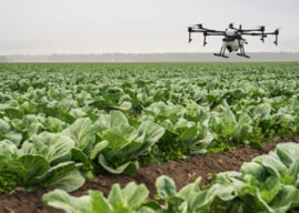 Decision time for the future of farming in Australia
