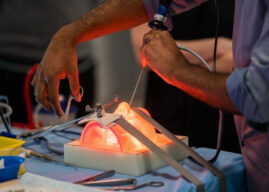 New 3D models aim to help dentists master complex procedures