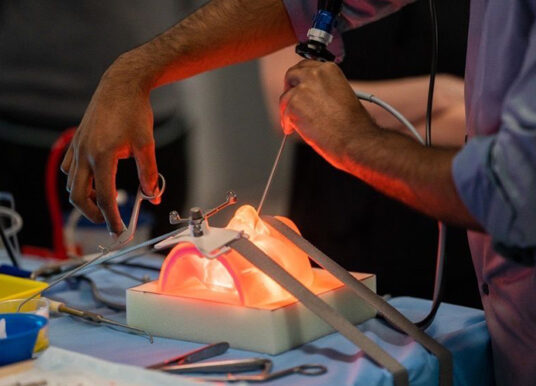 New 3D models aim to help dentists master complex procedures