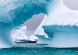Faster-flowing glaciers fuel decades of polar ice loss
